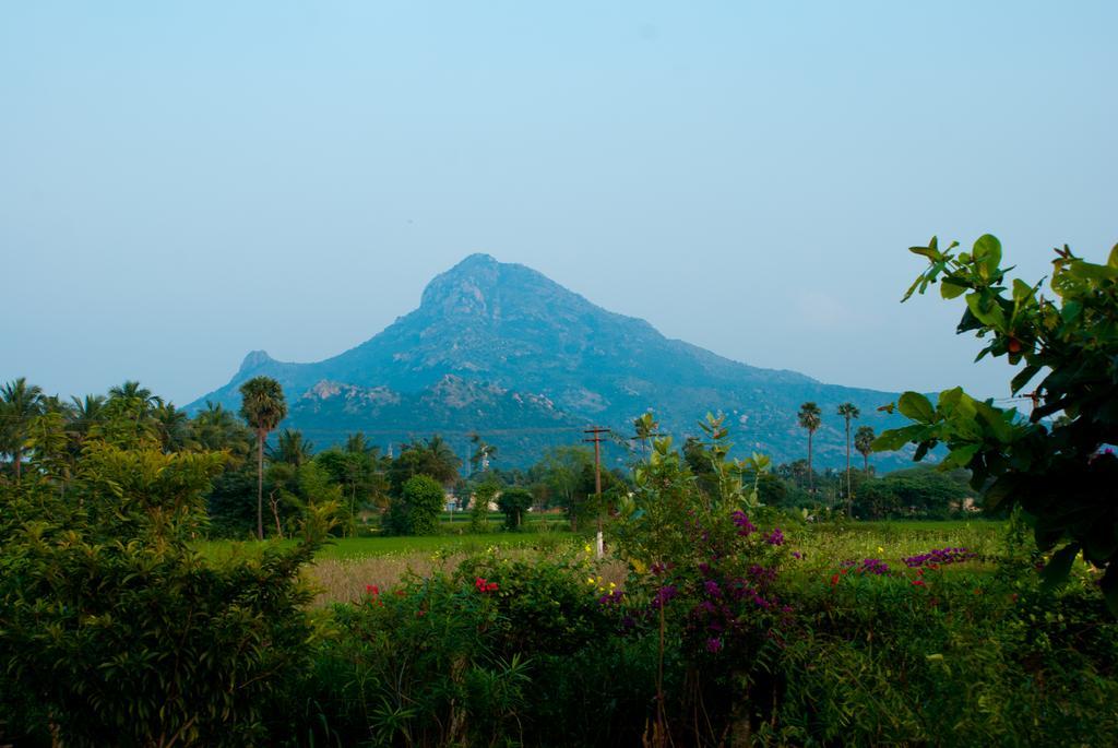 The Mountain Retreat Hotel Tiruvannamalai Luaran gambar